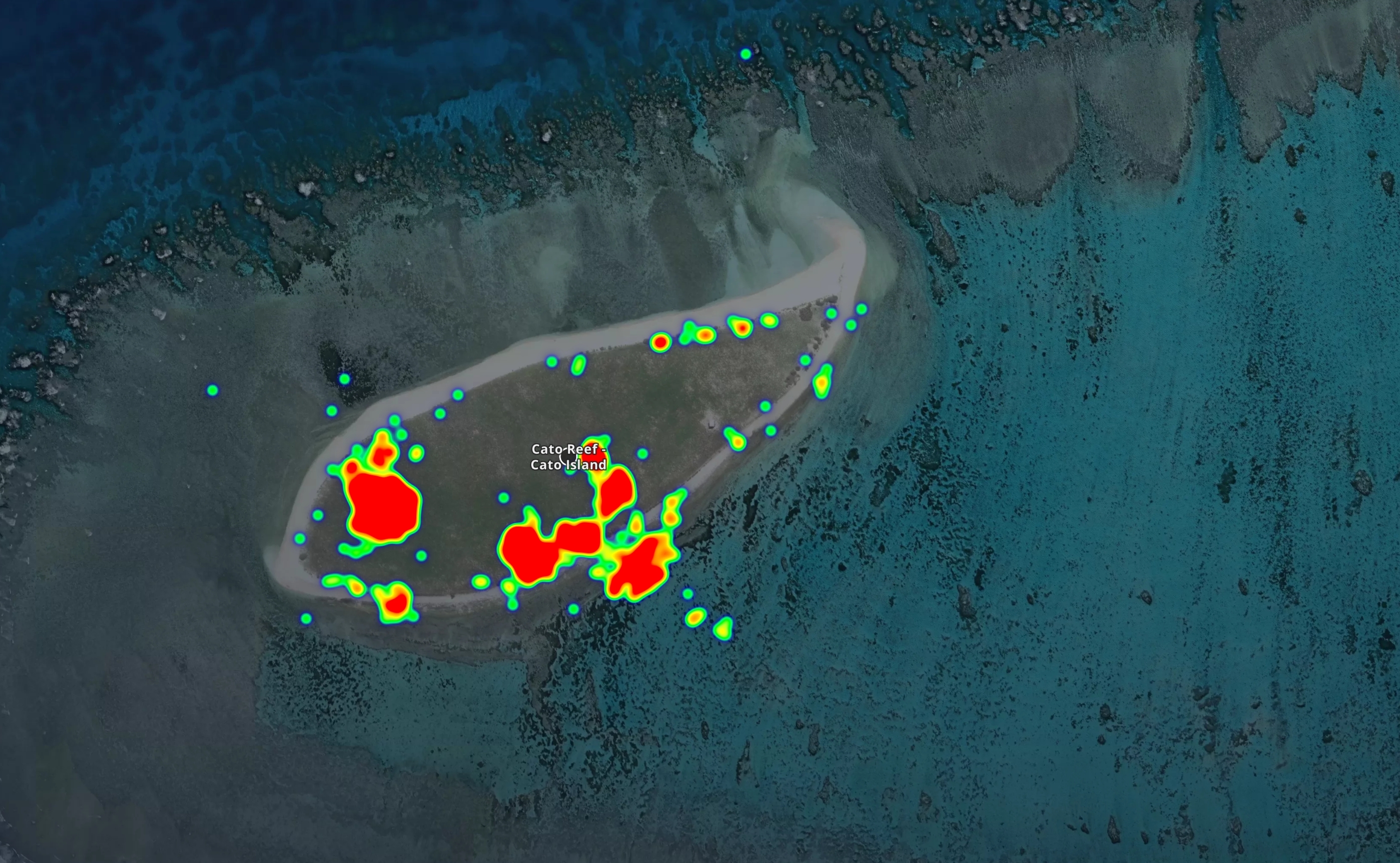 Wildlife Survey Geospatial Dashboard & Bird Distribution Map
